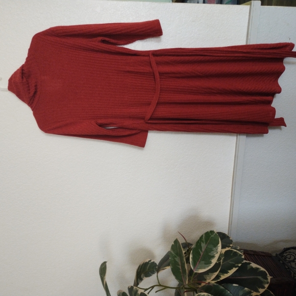 Red Ribbed Knit Dress - Picture 2 of 6